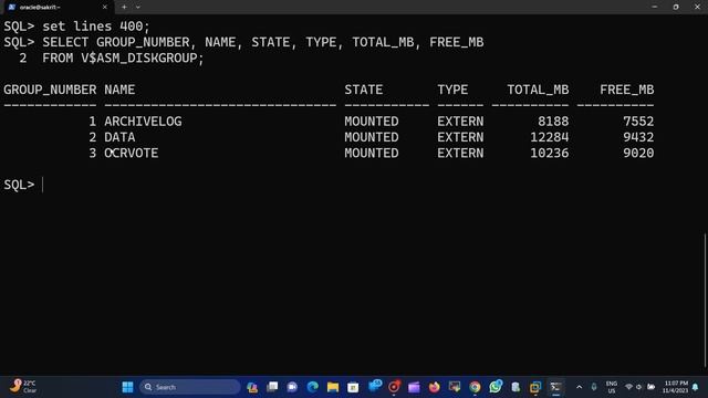 How to access ASM Disks In Oracle 19c RAC DB ? #oracledatabase смотреть онлайн