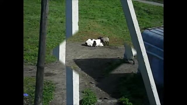 Старые Карачи 2012 год смотреть онлайн