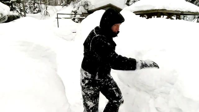 Красная панда радуется снегу, а я нет смотреть онлайн