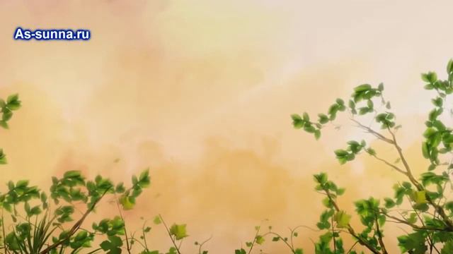 О характерных чертах женщин  Абдулгафуров Мухаммад хаджи Да смилуется над ним АлЛах