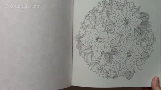 Johanna’s Christmas - Johanna Basford - A Festive Colouring Book Flip Through