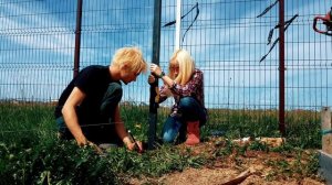 НЕ ПОКУПАЙТЕ столбы для забора в магазине.  Столбы для забора своими руками/  заборный столб