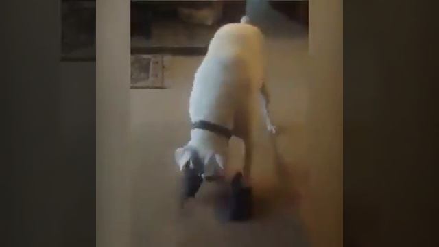 А как ходит наша баба Нюра смотреть онлайн