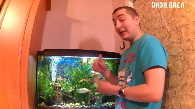 Подмена воды в аквариуме! Зачем подменивать воду в аквариуме! Слив воды смотреть онлайн