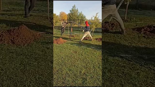 Процесс пошел! смотреть онлайн