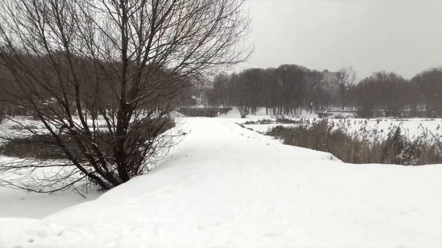 Полевые тесты. Выпуск 2. IPad Air 2 - лучший видоискатель.