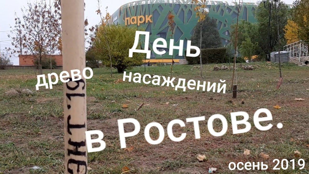 День древонасаждений в Ростове-на-Дону. Осень 2019 смотреть онлайн