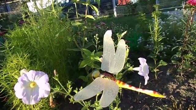 дачные фантазии 2))) смотреть онлайн