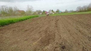 Как я сею СУДАНКУ, Весь процесс от А до Я.