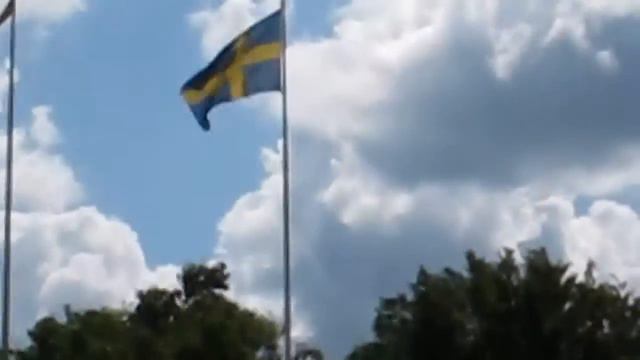 Harmonica Steam Boat Boogie смотреть онлайн