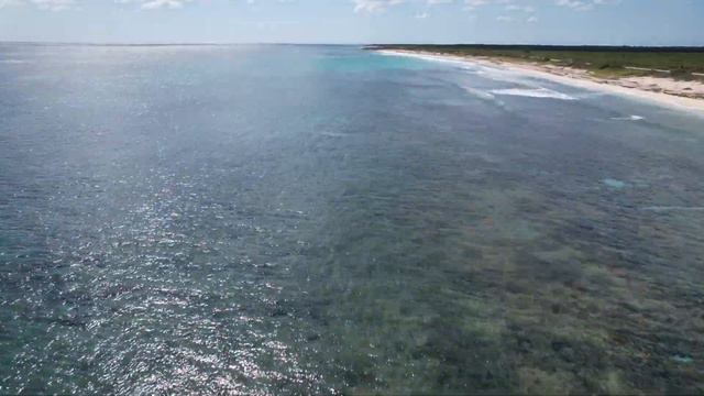 DJI Mavic Air 2S Flying in Cozumel, Mexico 2024 смотреть онлайн