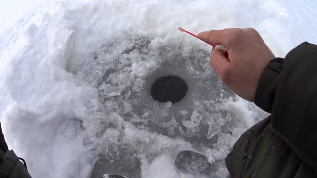 ЗИМНЯЯ РЫБАЛКА 2020 Новосибирская область смотреть онлайн