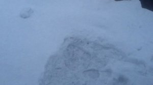 Летающий дешевый фейерверк «Лунный цветок»