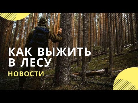 Что делать, если вы заблудились в лесу. ТОП-5 правил. смотреть онлайн