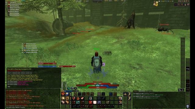 Vanguard: Saga of Heroes - Classes - Paladin смотреть онлайн