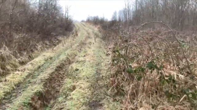 Отмечаем праздник в лесу. Топим баню, паримся. Забытая станица Абхазская. 2 часть. смотреть онлайн