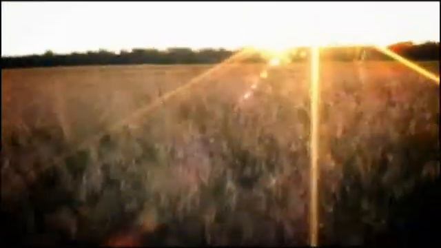 Работа студии "Ева". Ирина и Игорь. Предсвадебное видео. смотреть онлайн
