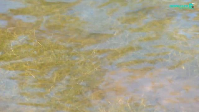 Рыбалка в Оганере с Норильск ТВ смотреть онлайн