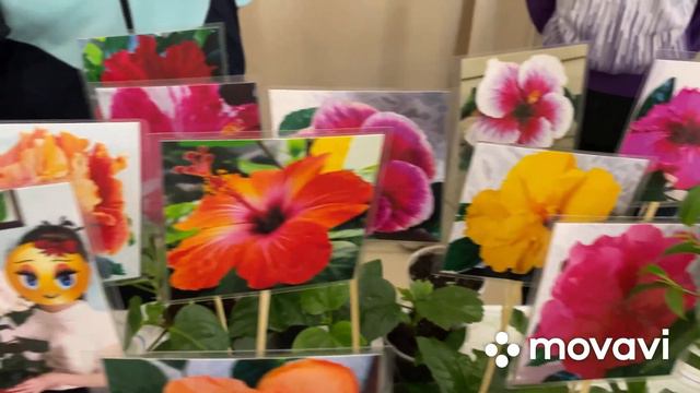 Обзор выставки цветов в станице Кущевской. Часть 2 смотреть онлайн