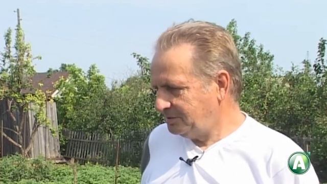 В ладу с природой - 406 - Пасынкование томатов, подкормка сада после цветения, окопник и бораго смотреть онлайн