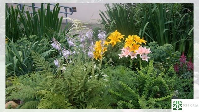 Примеры садовых композиций | Ideas for the garden смотреть онлайн