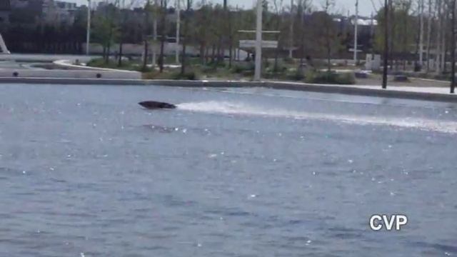 CVP - Rc Cigarette Boat by Nasos смотреть онлайн