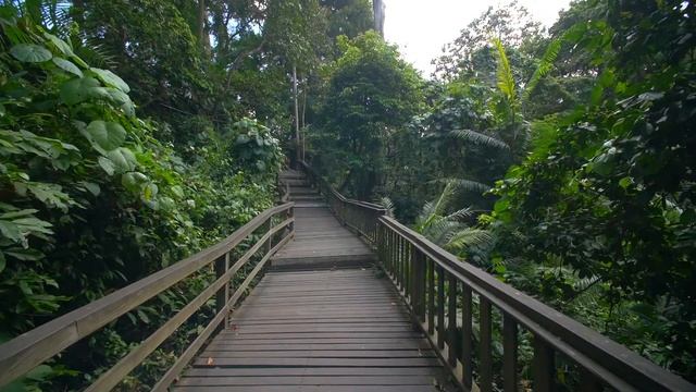 БАЛИ | BALI | МОРЕ | ОКЕАН | ИНДОНЕЗИЯ | Расслабляющее видео. Путешествие. Красивые кадры. смотреть онлайн