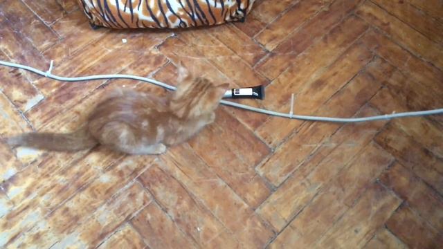 У каждого должен быть шанс на жизнь смотреть онлайн