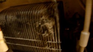 Обслуживание холодильника Daewoo FR-530NT / Maintenance refrigerator Daewoo FR-530NT