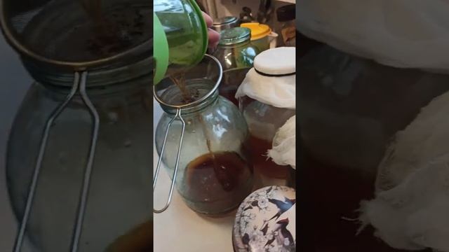 Комбуча.Чайный гриб ( как я готовлю для него чай) смотреть онлайн
