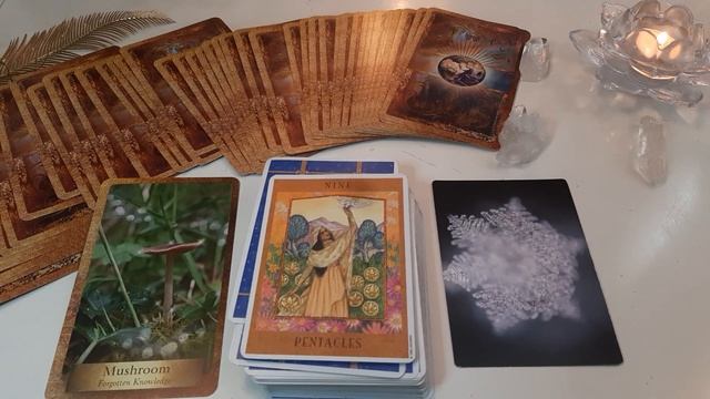 Libra ♥️ Upcoming! Each Day Of The Week, Timestamped Tarot & Oracle Reading 26 september - 2 octobe смотреть онлайн