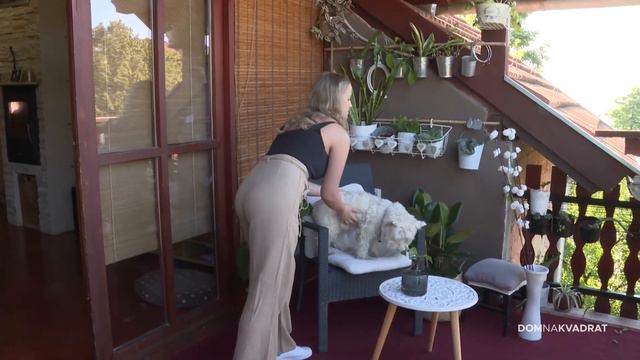 Zeleno Je In – Upoznajte Kolekcionarku Rijetkih Biljaka