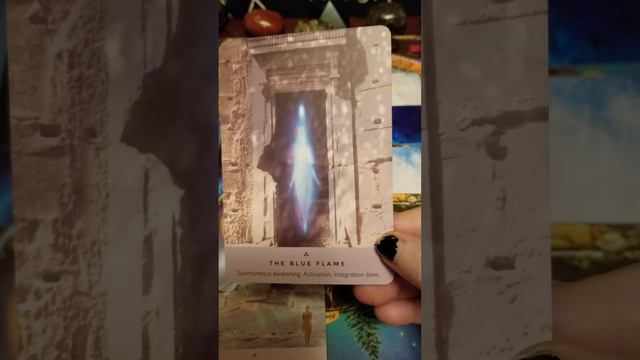 The Blue Flame Has Been Activated! Daily Tarot Saturday 11/4/23 #dailytarot ??❤? смотреть онлайн