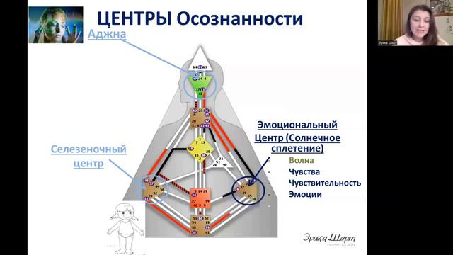 Урок №1 Знакомимся со своим Бодиграфом - легко! Дизайн Человека Human Design смотреть онлайн