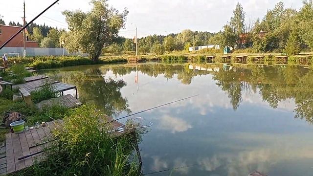 Светлые Горы 17.08.2022 смотреть онлайн