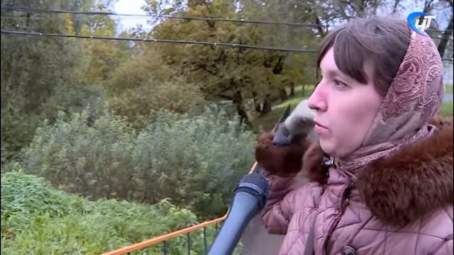 В Панковке один из пешеходных переходов был отрезан от тротуараара забором смотреть онлайн