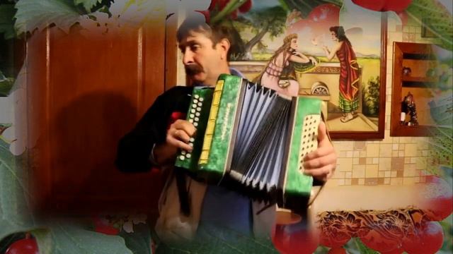 Виктор Волохо Горькая калина(гармонь) смотреть онлайн