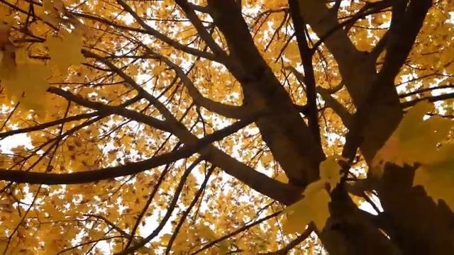 ЗАПОМНИ РАЗ И НАВСЕГДА/ПОСМОТРИ ЭТО ВИДЕО КОГДА ГРУСТНО. смотреть онлайн