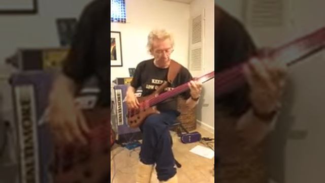 Eden WT400 Warwick German fretless Vette смотреть онлайн