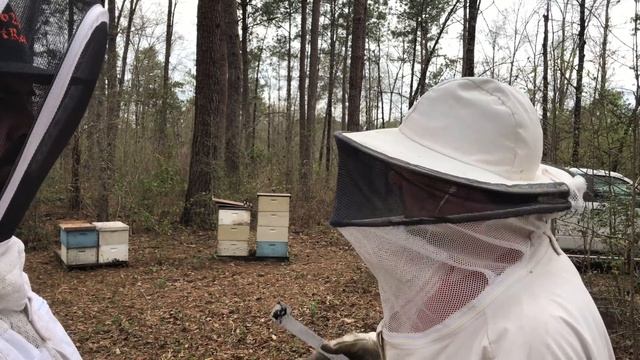 The $6,000 Beekeeping Mistake and The Melted Bee Suit Story смотреть онлайн