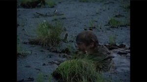 Иди и посмотри 1985
