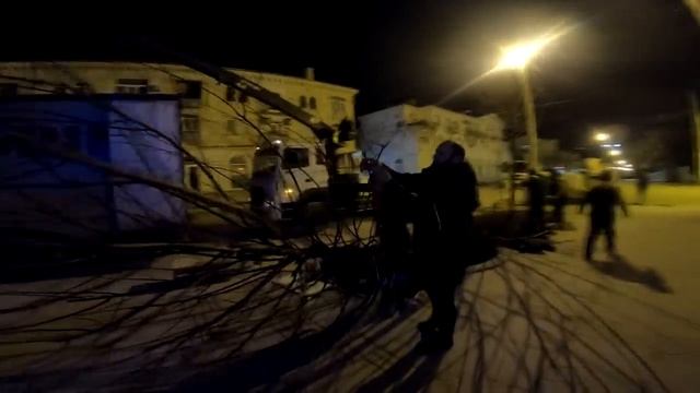 Какие деревья высаживают на Большой Морской? смотреть онлайн