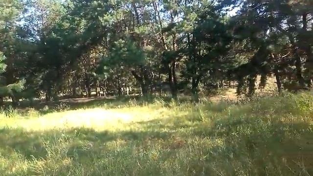 Своё имя береги всегда .Береги честь с молоду , есть пословица... смотреть онлайн