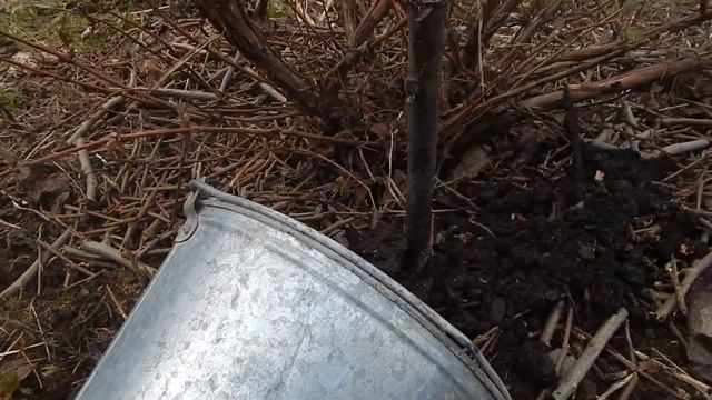 Домовенок Стройкин