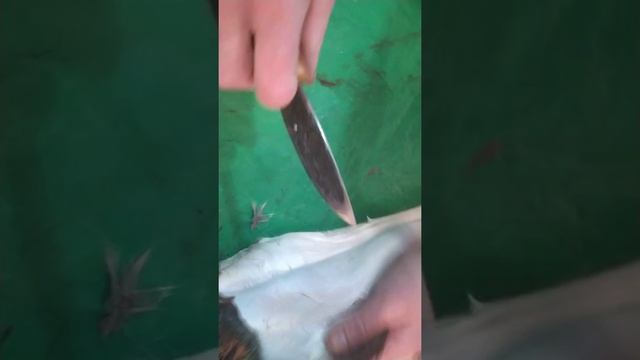 работа якутского ножа смотреть онлайн