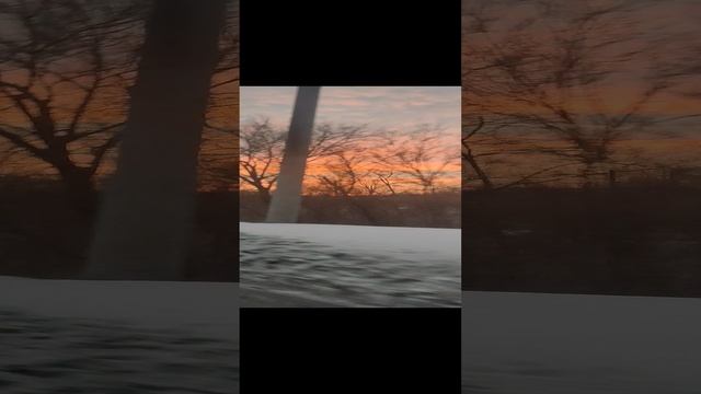 VID20230112174043.mp4