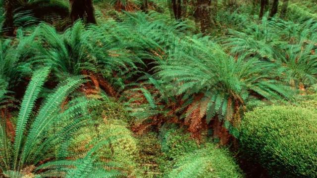 20 секунд идиотизма смотреть онлайн