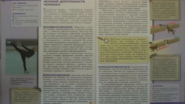 Биология (Л.Н.Сухорукова) 9к §31 Особенности высшей нервной деятельности человека смотреть онлайн