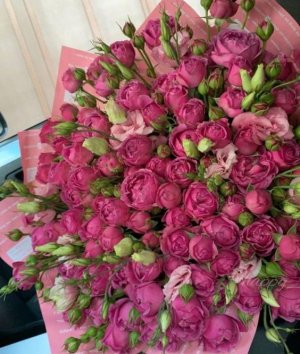 АЯТ АЛЬ КУРСИ ☁️ ПРЕКРАСНОЕ ЧТЕНИЕ