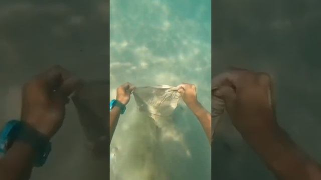LIMPA NO OCEANO #ocean смотреть онлайн